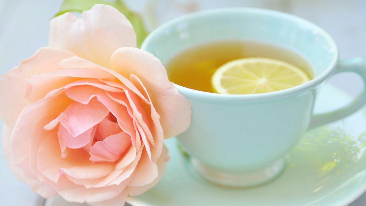 Обои чай, чашка, лимон, роза