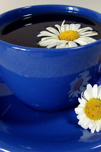 Превью обои чай, чашка, тарелка, ромашка, цветы