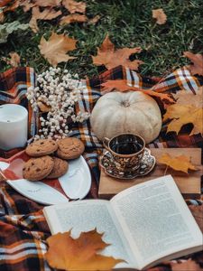 Превью обои чай, книга, осень, печенье, листья, тыква
