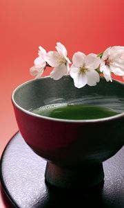 Превью обои чай, зелёный, сакура, чашка