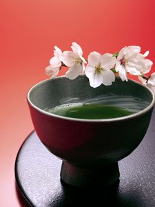 Превью обои чай, зелёный, сакура, чашка