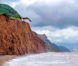 Превью обои чайка, птица, полет, море, скалы, дикая природа