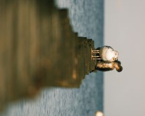 Превью обои чайки, птицы, пирс, море, дикая природа