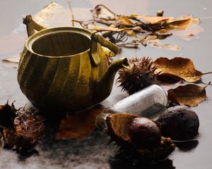 Превью обои чайник, дождь, каштаны, листья, осень