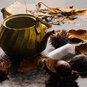 Превью обои чайник, дождь, каштаны, листья, осень