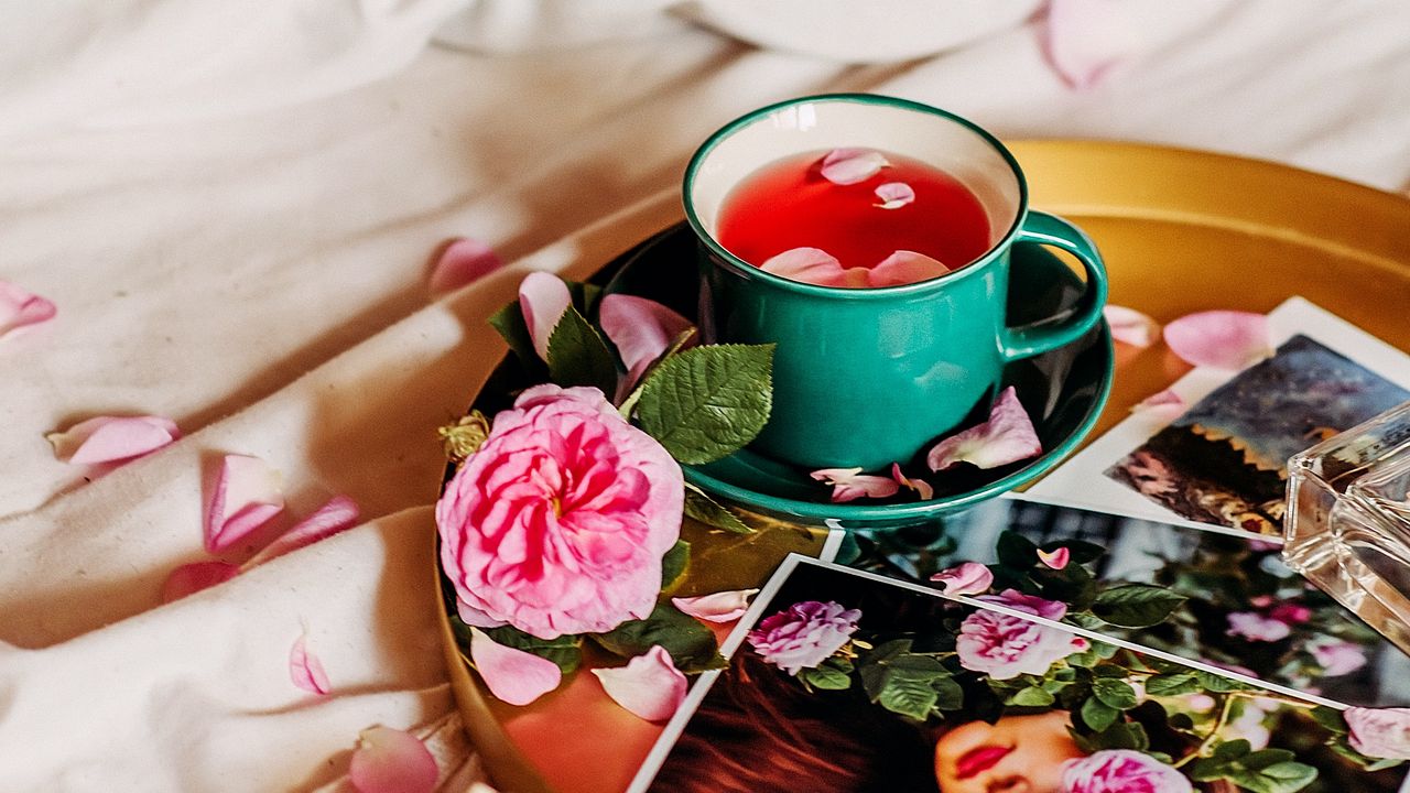 Обои чашка, чай, цветок, лепестки, фотографии