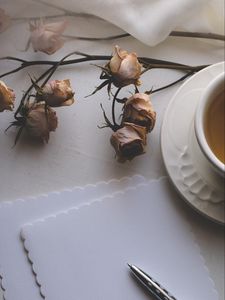 Превью обои чашка, чай, цветы, сухой, бумага, эстетика