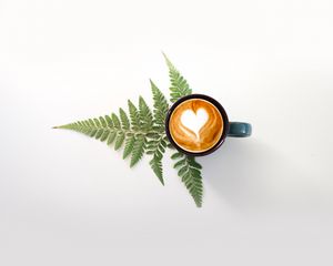 Превью обои чашка, капучино, напиток, узор, папоротник