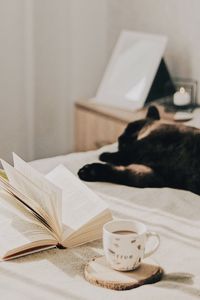 Превью обои чашка, кофе, книга, страницы, кот