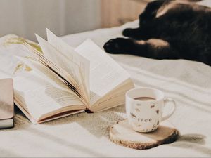 Превью обои чашка, кофе, книга, страницы, кот