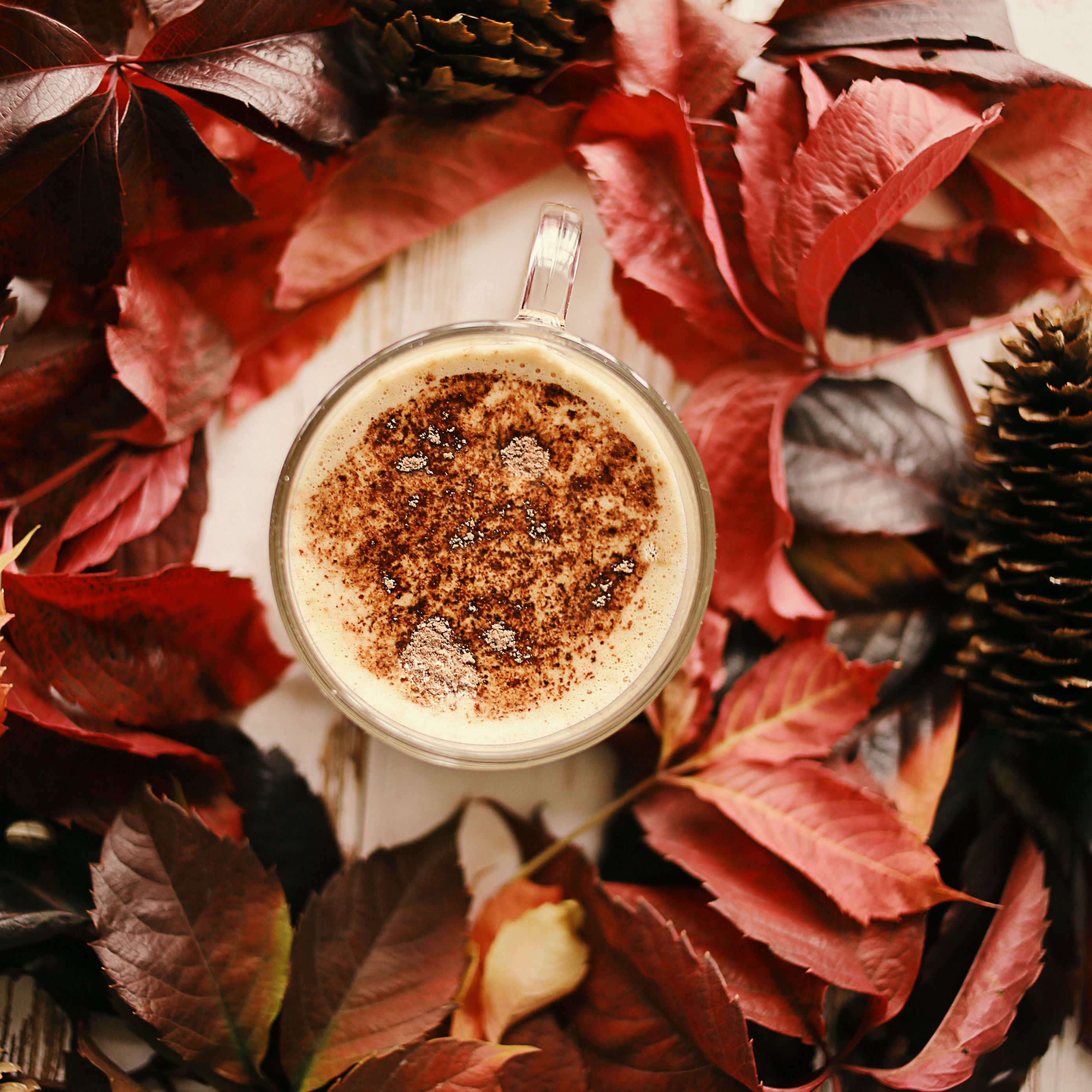 Coffee leaves. Листья кофе. Каштановые листья и кофе.