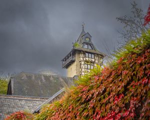 Превью обои часовня, клен, кленовые листья, осень