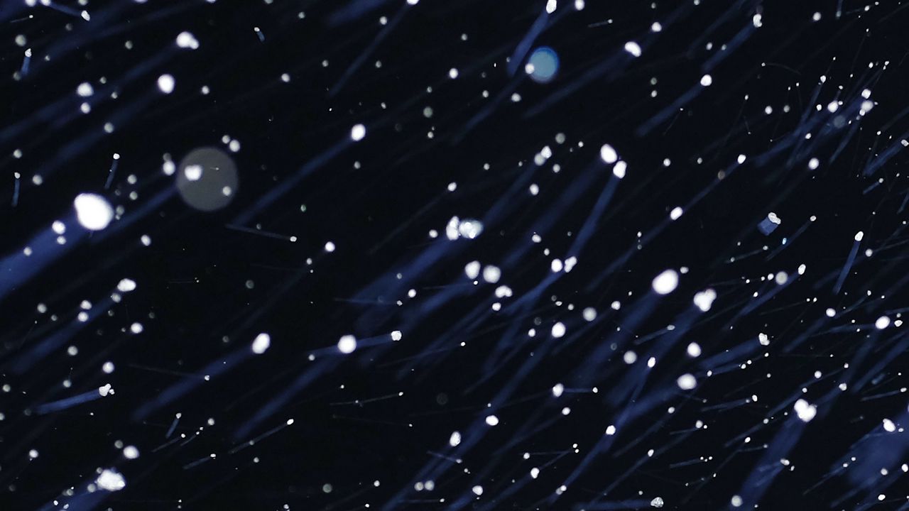 Обои частицы, снег, движение, искажение