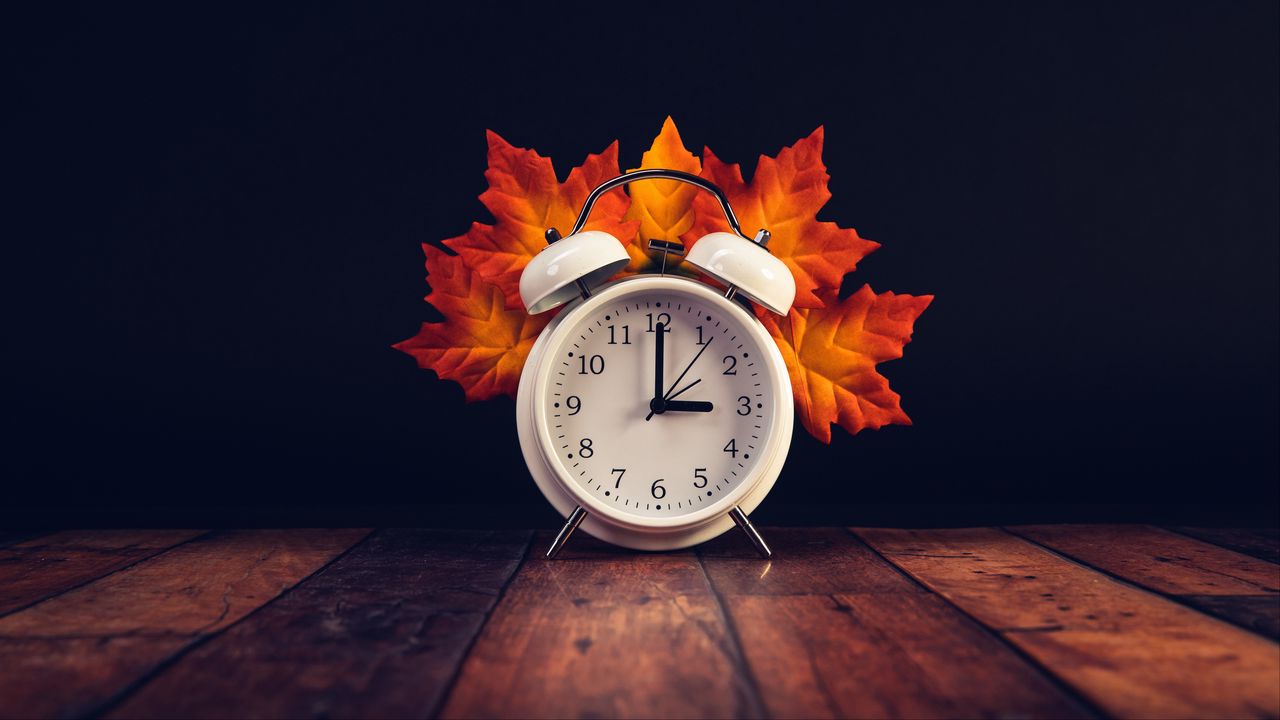 Обои часы, будильник, листья, дерево, осень