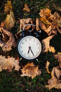 Превью обои часы, будильник, время, листья, осень, эстетика