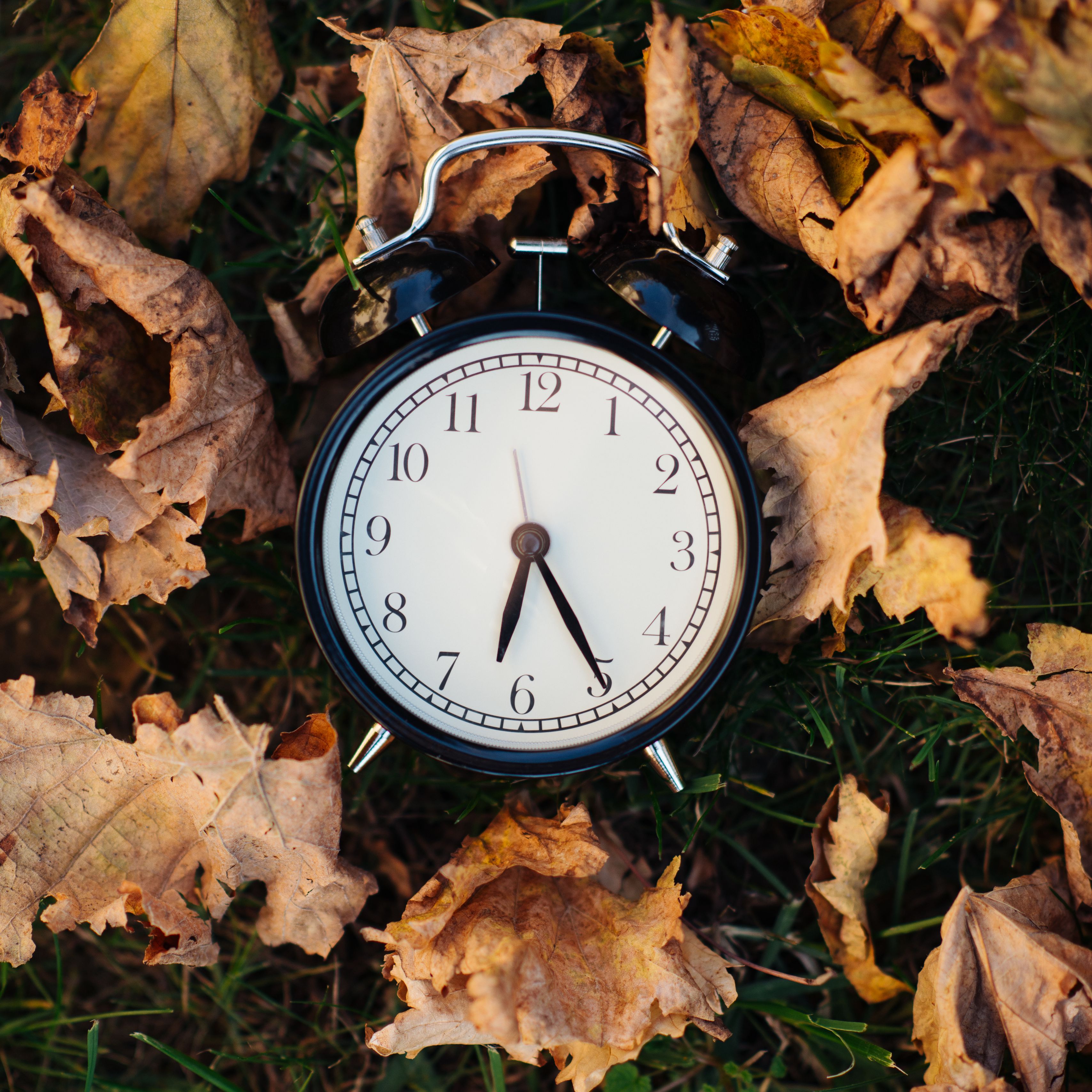 Скачать 3415x3415 часы, будильник, время, листья, осень, эстетика обои,  картинки ipad pro 12.9 retina for parallax