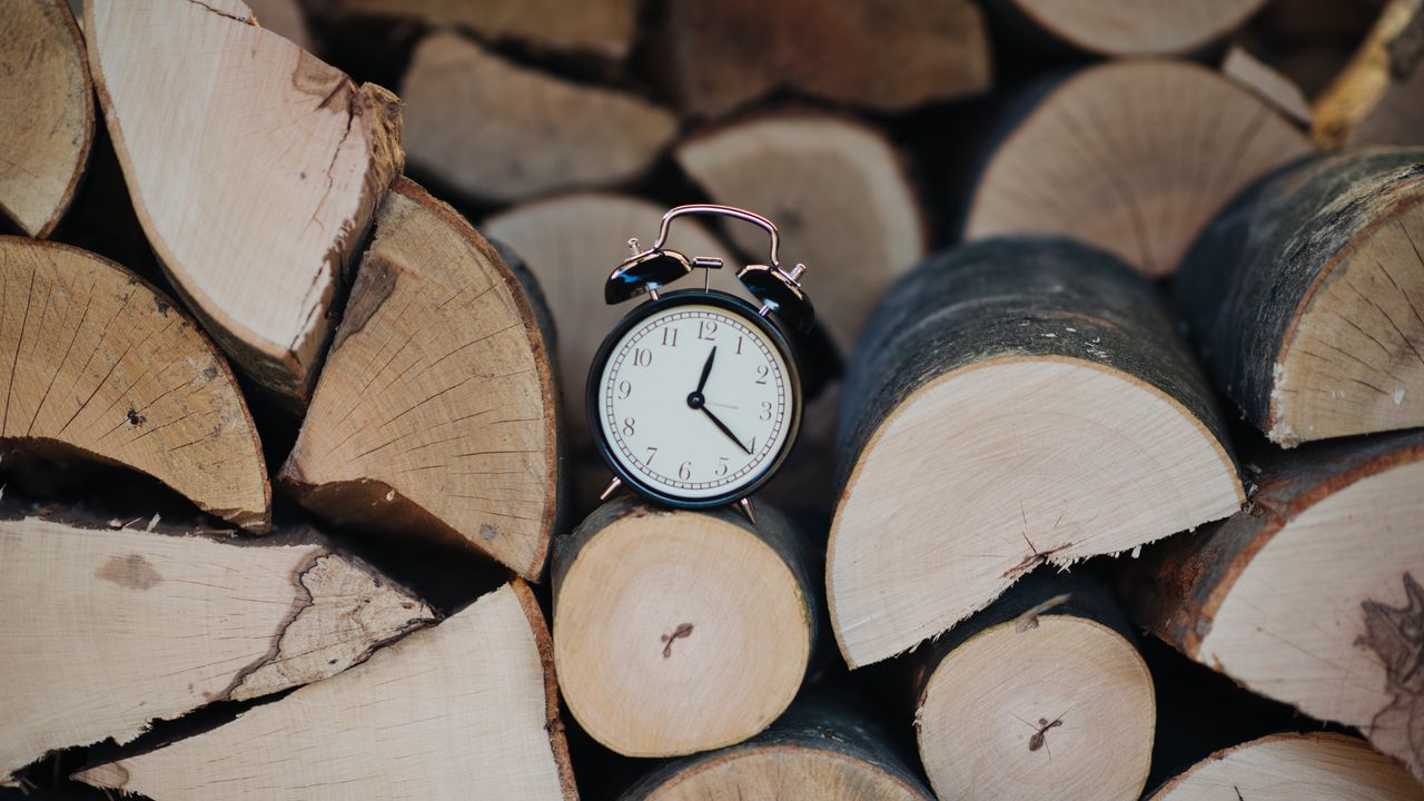 Обои часы, будильник, время, дерево, бревна
