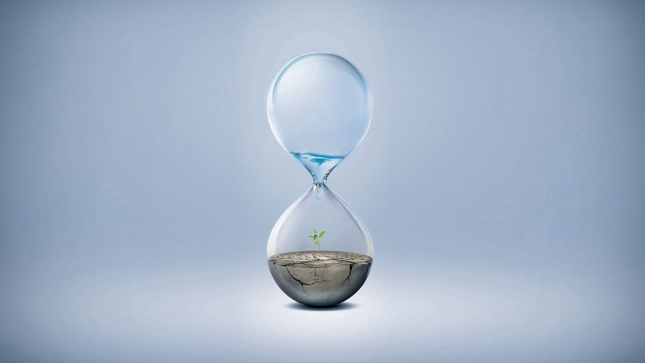 Обои часы, стекло, вода, капля, растение, суша