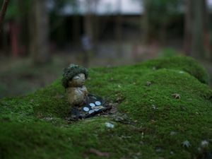 Превью обои человечек, мох, размытие, макро