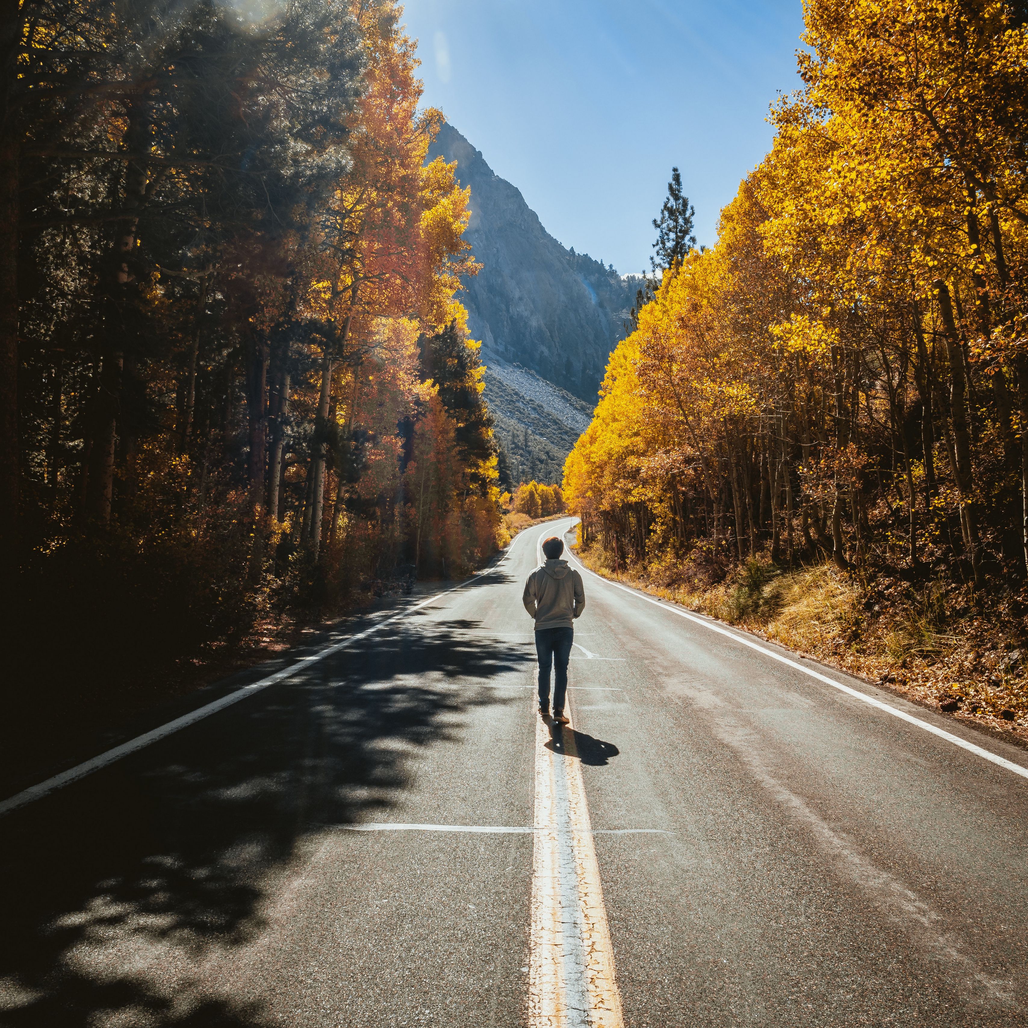Сколько времени уйдет на дорогу. Осенняя дорога. Человек идет по дороге. Осенняя дорога в горах. Человек на дороге.