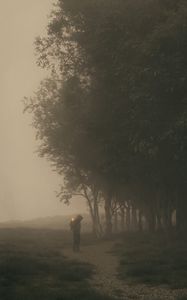 Превью обои человек, куб, деревья, аллея, туман, арт