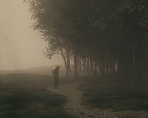 Превью обои человек, куб, деревья, аллея, туман, арт
