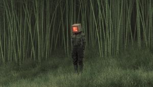 Превью обои человек, куб, тростник, пруд, трава, арт