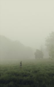 Превью обои человек, куб, туман, луг, арт