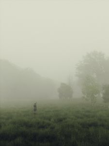 Превью обои человек, куб, туман, луг, арт