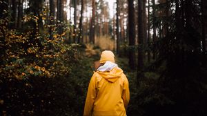Превью обои человек, лес, прогулка, желтый, природа