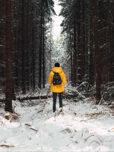 Превью обои человек, лес, снег, зима, деревья