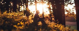 Превью обои человек, лес, солнце, свет, одиночество