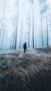 Превью обои человек, лес, туман, одиночество, природа