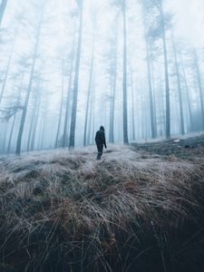 Превью обои человек, лес, туман, одиночество, природа
