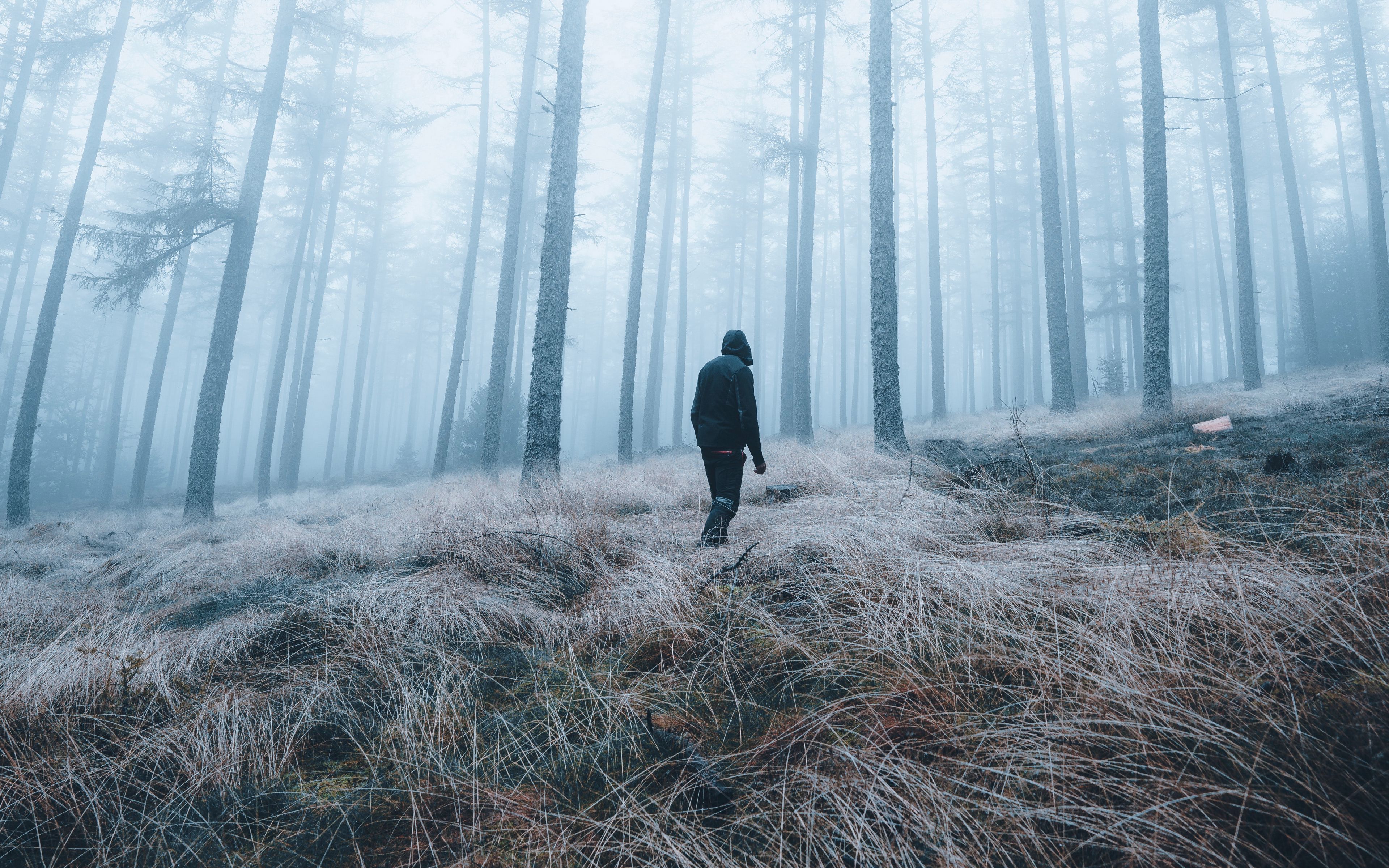 The man from the fog мод. Человек в тумане. Человек в лесу. Человек в туманном лесу. Лес в тумане.