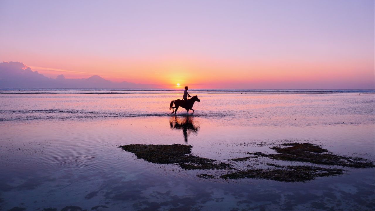 Обои человек, лошадь, силуэты, океан, побережье, гили траванган, индонезия