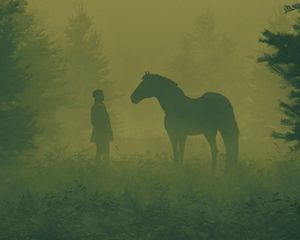 Превью обои человек, лошадь, силуэты, туман, арт