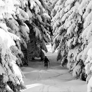 Превью обои человек, лыжи, снег, зима, лес, природа