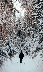 Превью обои человек, лыжник, лыжи, лес, снег, зима