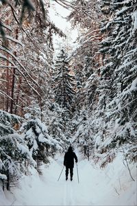 Превью обои человек, лыжник, лыжи, лес, снег, зима