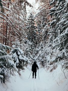 Превью обои человек, лыжник, лыжи, лес, снег, зима