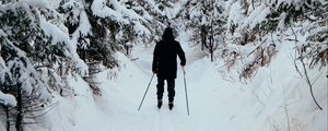 Превью обои человек, лыжник, лыжи, лес, снег, зима