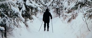 Превью обои человек, лыжник, лыжи, лес, снег, зима