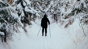 Превью обои человек, лыжник, лыжи, лес, снег, зима