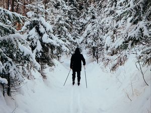 Превью обои человек, лыжник, лыжи, лес, снег, зима