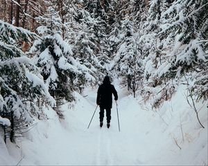 Превью обои человек, лыжник, лыжи, лес, снег, зима
