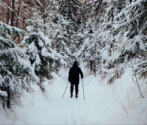 Превью обои человек, лыжник, лыжи, лес, снег, зима