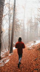 Превью обои человек, одиночество, лес, туман, прогулка