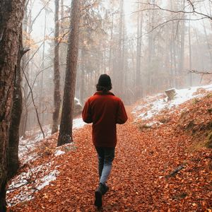 Превью обои человек, одиночество, лес, туман, прогулка