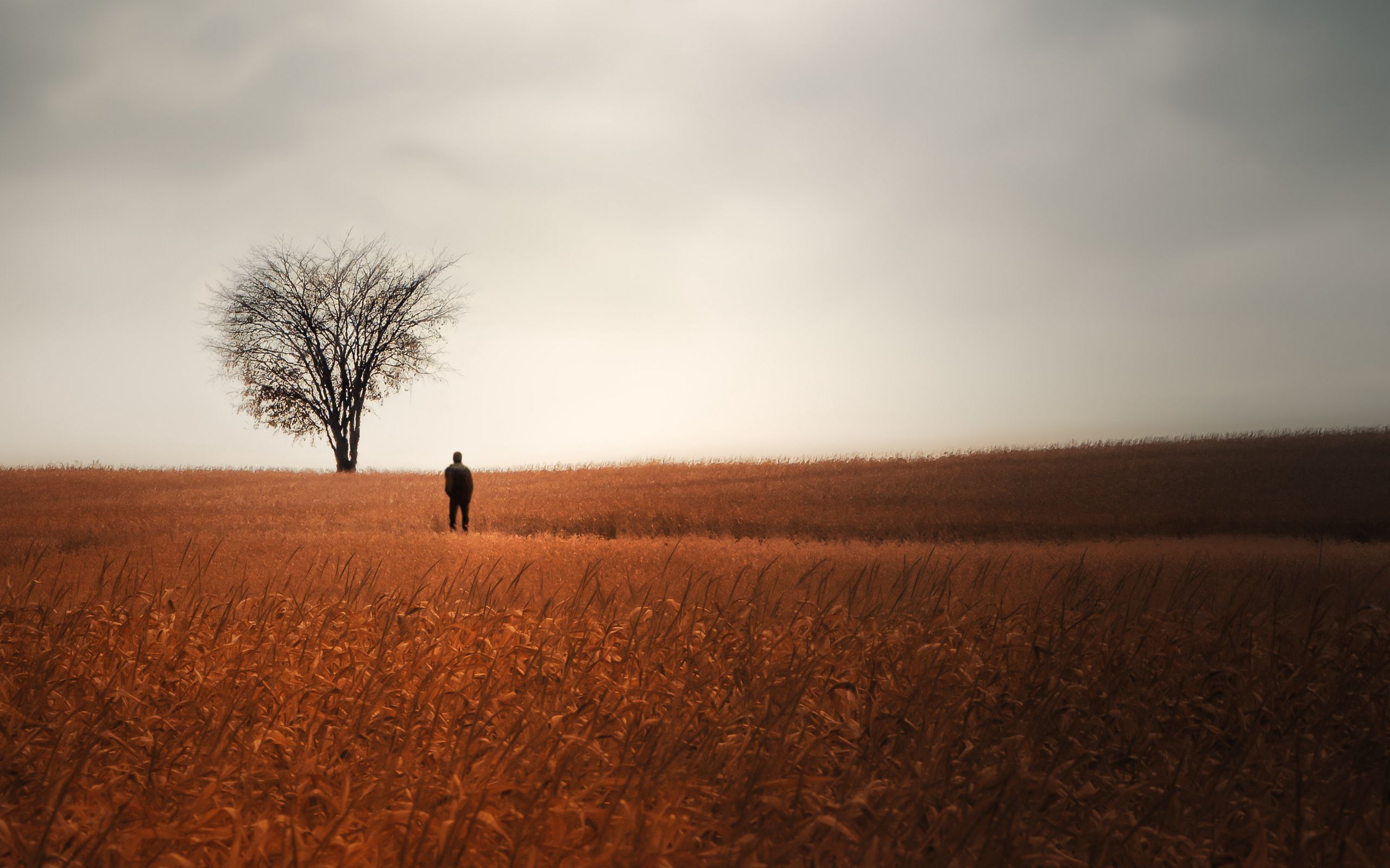 Одиночество в поле